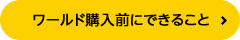ワールド購入前にできること