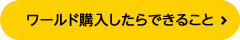 ワールド購入したらできること